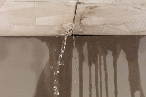 Professional Flood Damage Cleanup technician working in Capron, IL